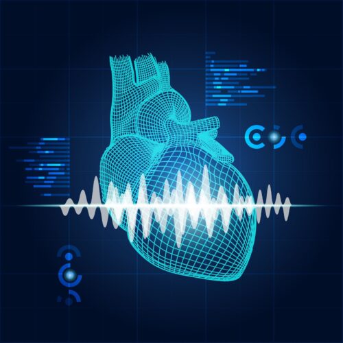 A digital illustration of a heart with a soundwave overlay, symbolizing heartbeat analysis technology and its role in modern health monitoring.